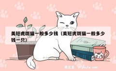 美短虎斑猫一般多少钱（美短虎斑猫一般多少钱一只）