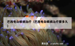 巴西龟白眼病治疗（巴西龟白眼病治疗要多久）