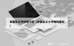 单县私立学校哪个好（单县私立小学哪所最好）