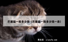 巴厘猫一般多少钱（巴厘猫一般多少钱一条）