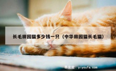 长毛田园猫多少钱一只（中华田园猫长毛猫）