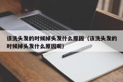 该洗头发的时候掉头发什么原因（该洗头发的时候掉头发什么原因呢