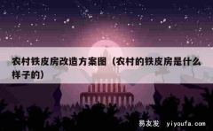 农村铁皮房改造方案图（农村的铁皮房是什么样子的）