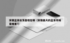 安徽盆景批发基地在哪（安徽最大的盆景市场是哪里?）