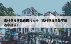 农村铁皮房改造图片大全（农村铁皮房是不是违章建筑）