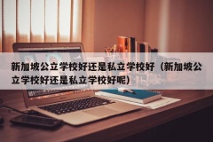 新加坡公立学校好还是私立学校好（新加坡公立学校好还是私立学校