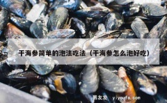 干海参简单的泡法吃法（干海参怎么泡好吃）