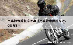 二手铃木摩托车250（二手铃木摩托车250街车）