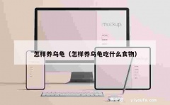 怎样养乌龟（怎样养乌龟吃什么食物）