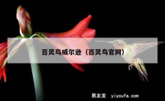 百灵鸟威尔逊（百灵鸟官网）