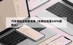 汽车保险全险都有啥（车辆全险是100%赔偿么）