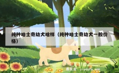 纯种哈士奇幼犬啥样（纯种哈士奇幼犬一般价格）