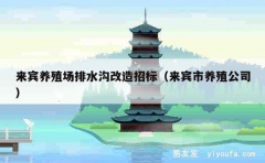 来宾养殖场排水沟改造招标（来宾市养殖公司）