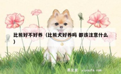 比熊好不好养（比熊犬好养吗 都该注意什么）