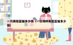 一只英短蓝猫多少钱（一只纯种英短蓝猫多少钱）