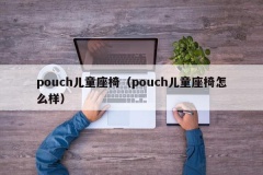 pouch儿童座椅（pouch儿童座椅怎么样）