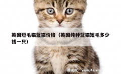 英国短毛猫蓝猫价格（英国纯种蓝猫短毛多少钱一只）