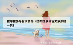 拉布拉多导盲犬价格（拉布拉多导盲犬多少钱一只）