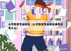 小学教育专业综合（小学教育专业综合课考试考什么）