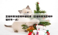 蓝猫和银渐层哪种猫好养（蓝猫和银渐层哪种猫好养一点）