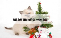 美国血奥西猫的价格（osu 血猫）