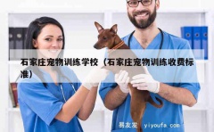 石家庄宠物训练学校（石家庄宠物训练收费标准）