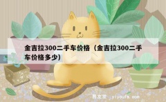 金吉拉300二手车价格（金吉拉300二手车价格多少）