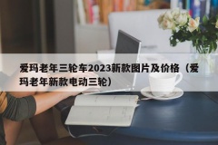 爱玛老年三轮车2023新款图片及价格（爱玛老年新款电动三轮）