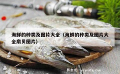 海鲜的种类及图片大全（海鲜的种类及图片大全扇贝图片）