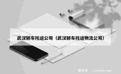 武汉轿车托运公司（武汉轿车托运物流公司）