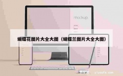 蝴蝶花图片大全大图（蝴蝶兰图片大全大图）