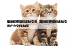 银渐层得猫藓皮肤变黑（银渐层得猫藓皮肤变黑还会变回来吗）