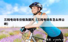 三阳电动车价格及图片（三阳电动车怎么样口碑）