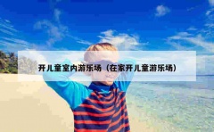 开儿童室内游乐场（在家开儿童游乐场）