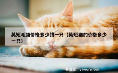 英短毛猫价格多少钱一只（英短猫的价格多少一只）