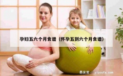 孕妇五六个月食谱（怀孕五到六个月食谱）