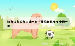 拉布拉多犬多少钱一条（纯拉布拉多多少钱一条）