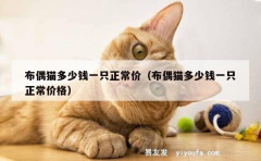 布偶猫多少钱一只正常价（布偶猫多少钱一只正常价格）