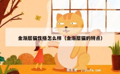 金渐层猫性格怎么样（金渐层猫的特点）