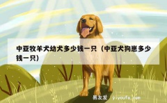 中亚牧羊犬幼犬多少钱一只（中亚犬狗崽多少钱一只）