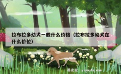 拉布拉多幼犬一般什么价格（拉布拉多幼犬在什么价位）