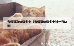 布偶猫及价格多少（布偶猫价格多少钱一只幼崽）