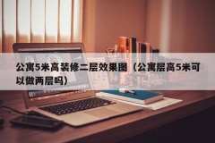 公寓5米高装修二层效果图（公寓层高5米可以做两层吗）