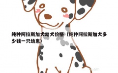 纯种阿拉斯加犬幼犬价格（纯种阿拉斯加犬多少钱一只幼崽）