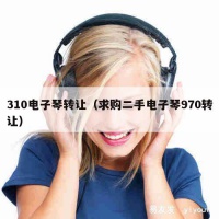 310电子琴转让（求购二手电子琴970转让）