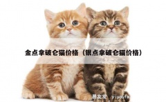 金点拿破仑猫价格（银点拿破仑猫价格）