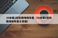 30米乘2蛇形跑场地布置（30米乘2蛇形跑场地布置示意图）