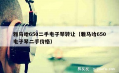 雅马哈650二手电子琴转让（雅马哈650电子琴二手价格）