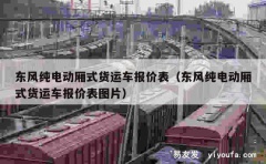 东风纯电动厢式货运车报价表（东风纯电动厢式货运车报价表图片）