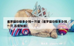 暹罗猫价格多少钱一只猫（暹罗猫价格多少钱一只 百度知道）